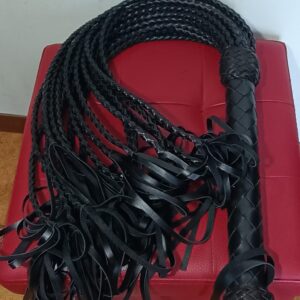 FLOGGER 20 CODE (FRUSTA)