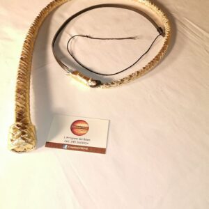 SNAKE WHIP GOLD IN VERA PELLE
